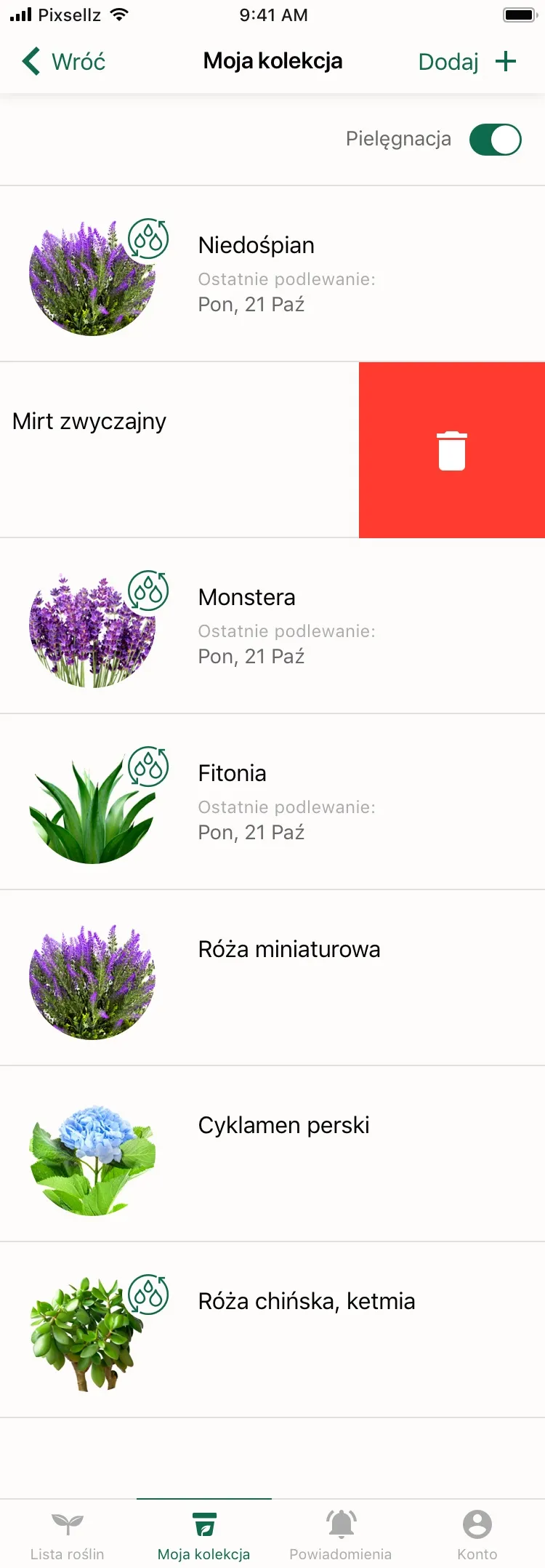 Ekran „Moja kolekcja” w aplikacji Wokas z listą roślin użytkownika i datami podlewania