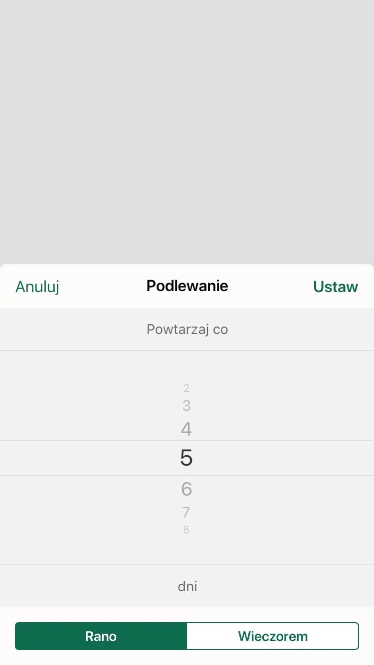 Ustawianie harmonogramu podlewania w aplikacji Wokas: co ile dni, rano lub wieczorem